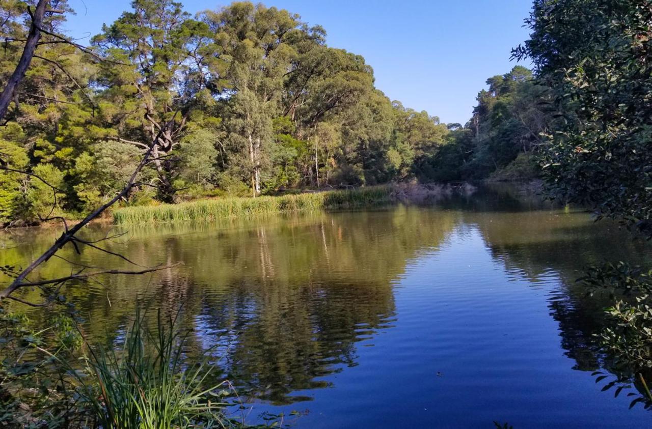 شقة Ferny Hill Retreat, Emerald Victoria المظهر الخارجي الصورة